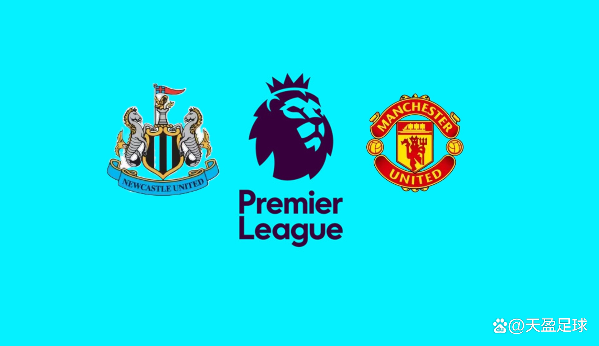 凭借自身的 凭借自身的