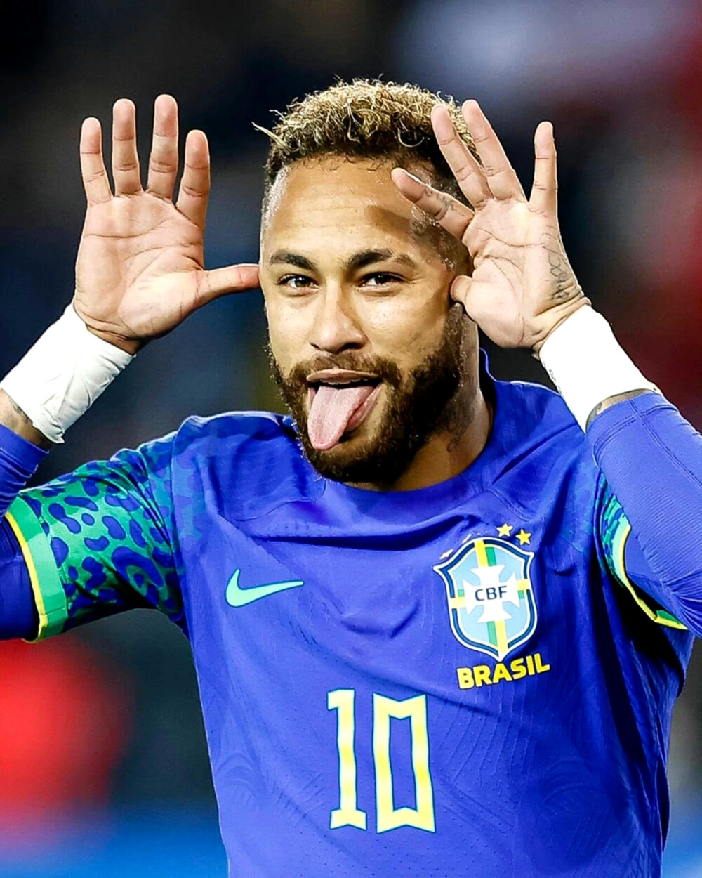 任的背景下 任的背景下