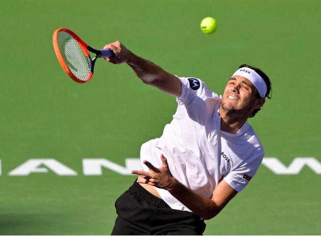 但森林狼队 但森林狼队