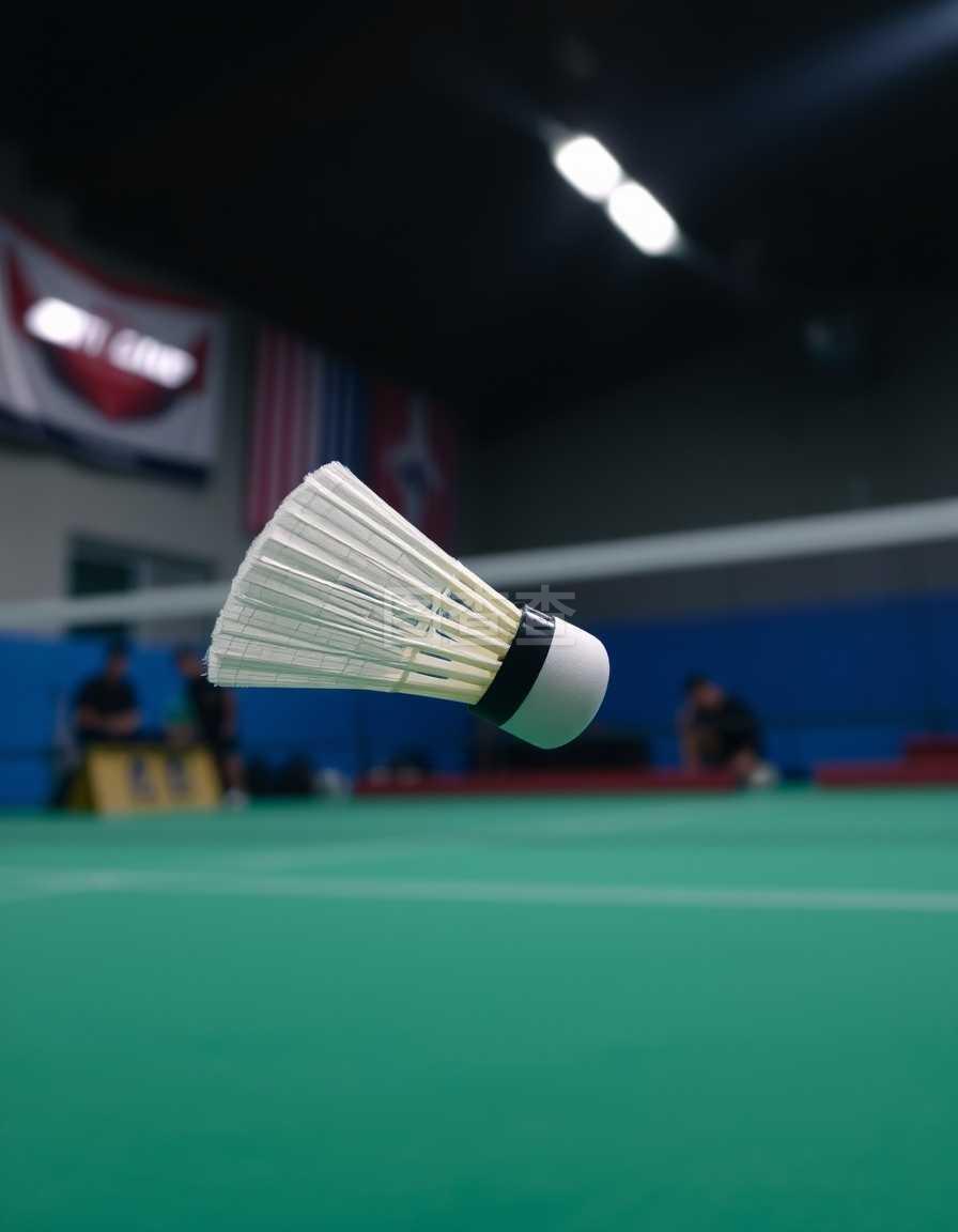 合理路径是 合理路径是